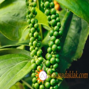 Nấu món ngon cùng với tiêu xanh Nấu món ngon cùng với tiêu xanh